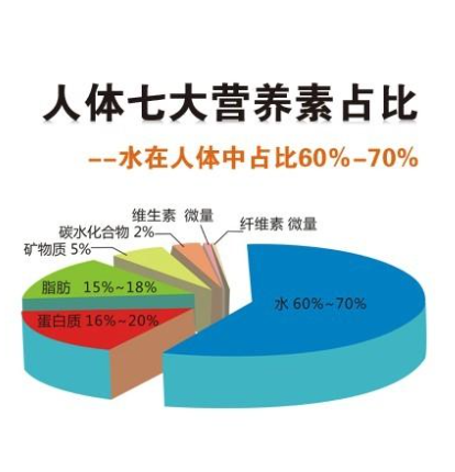 维生素和矿物质:维生素和矿物质是成长和发育所必须的营养素,帮助身体